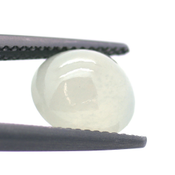 3.60ct Icy Jade Taille Cabochon Rond