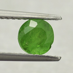 0.96ct Tsavorite Garnet Round Cut