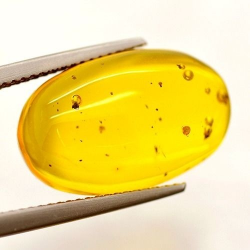 5.16ct Natural Amber Cabochon Cut 19.11x11.91mm